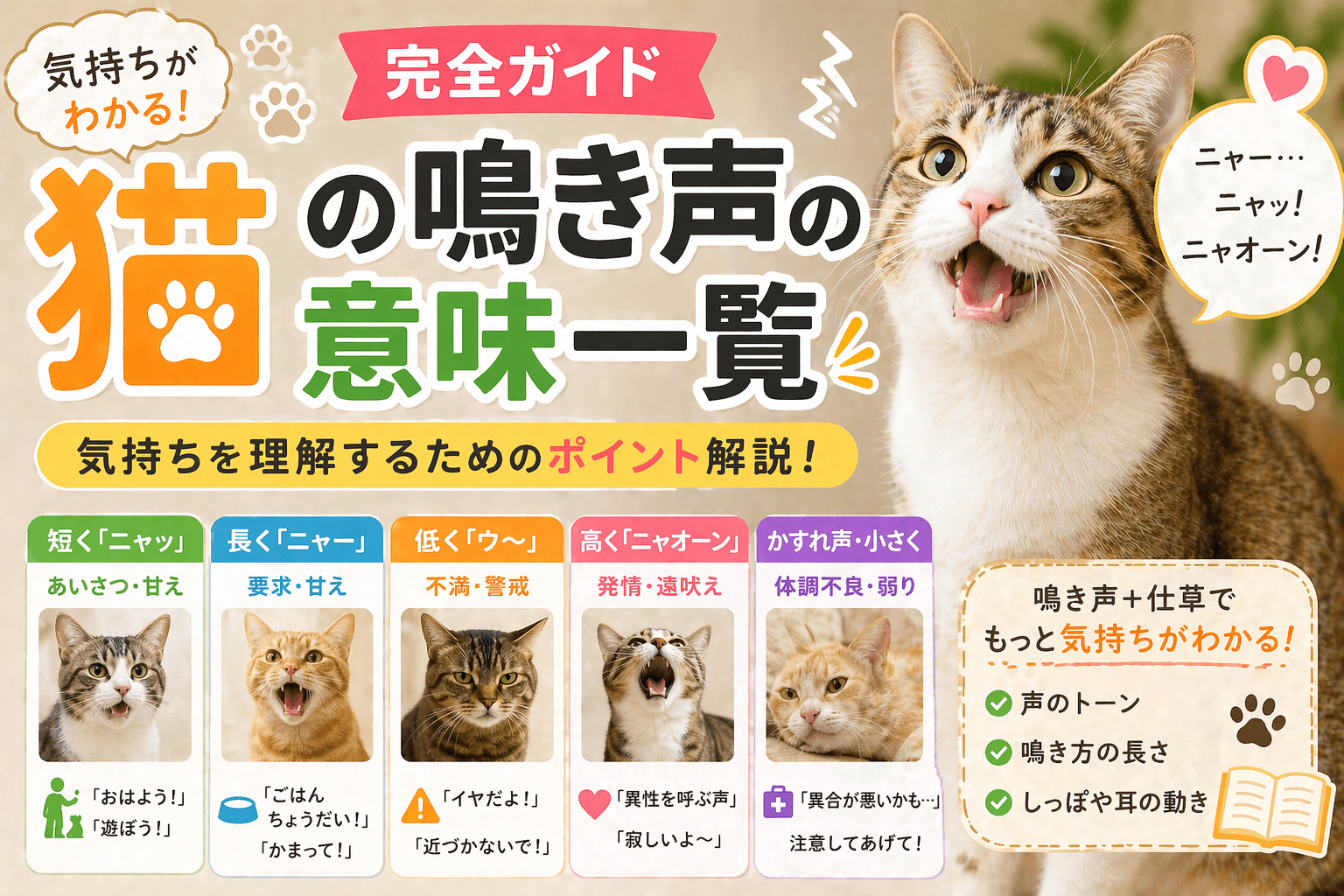 猫の鳴き声の意味一覧|気持ちを理解するための完全ガイド